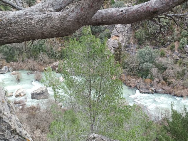 GEORUTA 1: En el interior del cañón