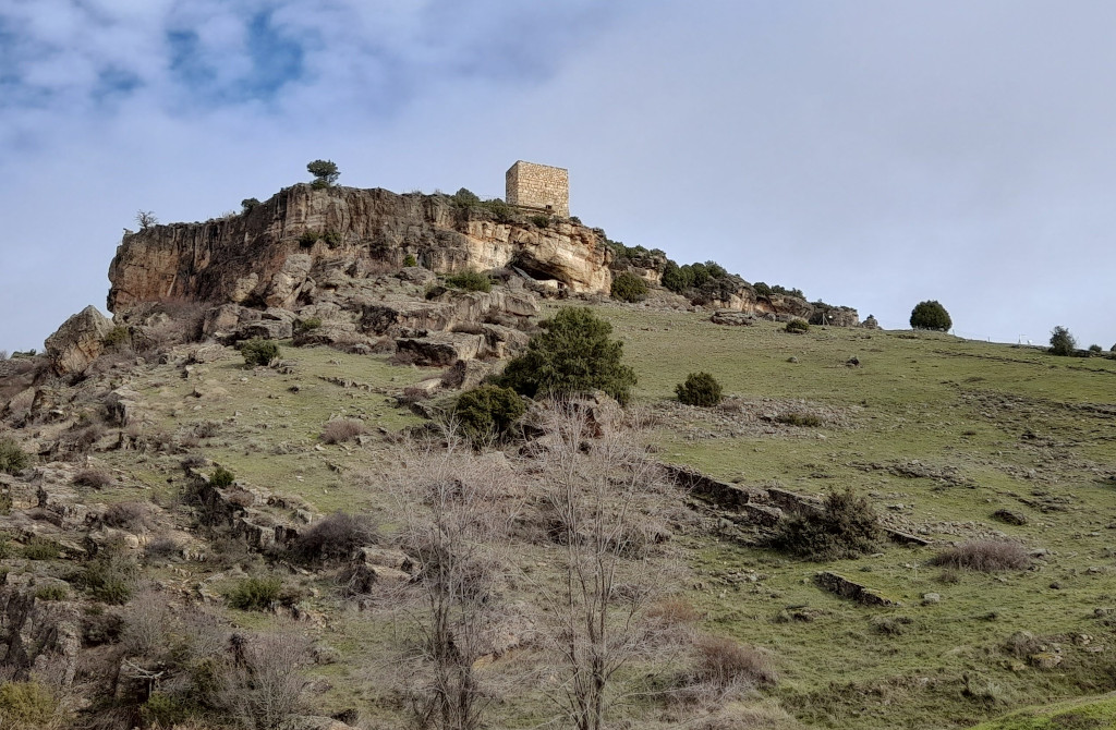 Georuta-2