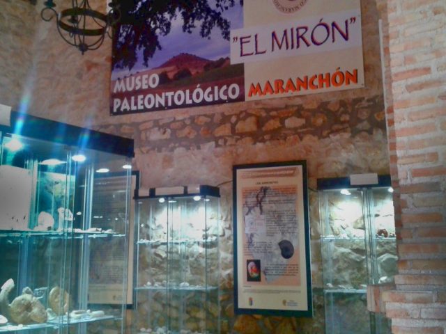 Museo Paleontológico "El Mirón"