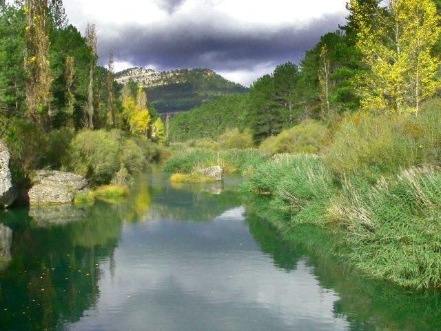 ZEPA Alto Tajo