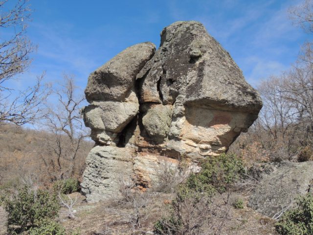 Bosque fósil de la Sierra de Aragoncillo
