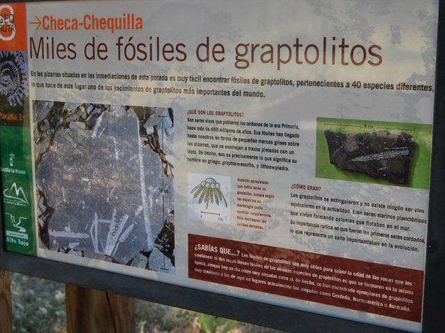 Yacimiento de Graptolitos