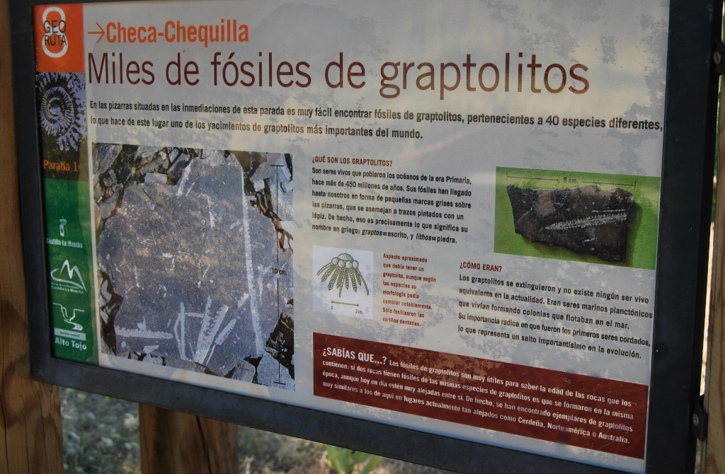 Yacimiento de Graptolitos