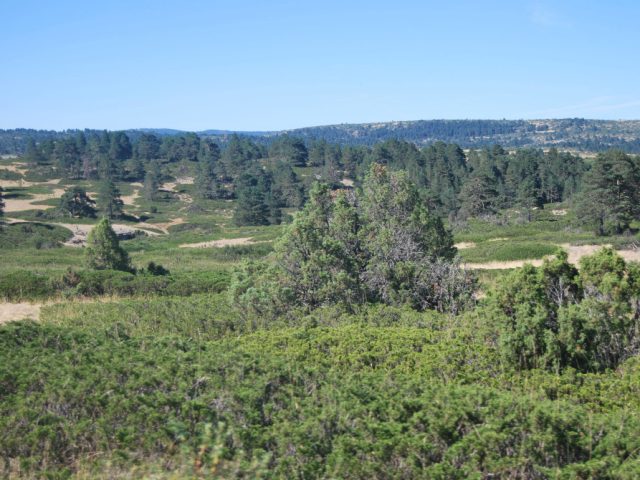Montes de Picaza