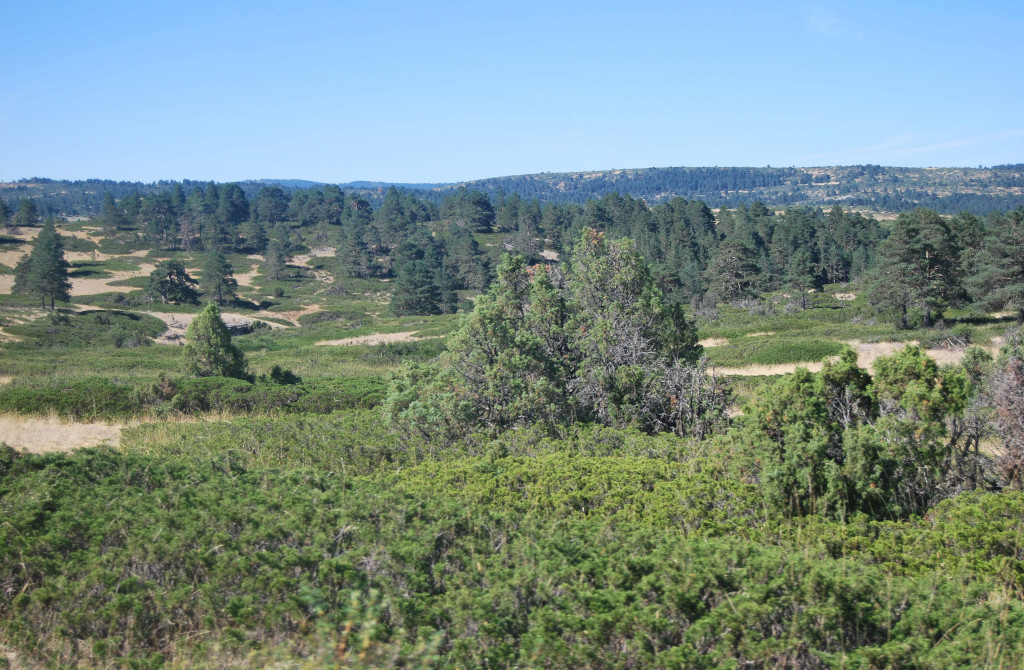 Montes de Picaza