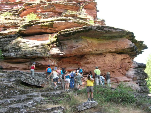 Valle del río Arandilla