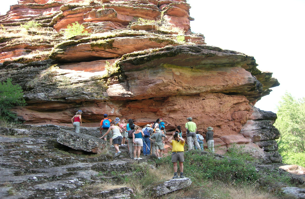 Valle del río Arandilla