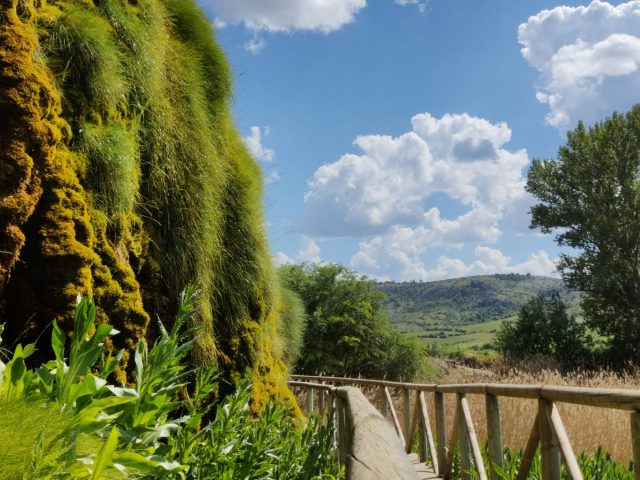 EXPERIENCIA LOS CELTÍBEROS DEL ALTO TAJO