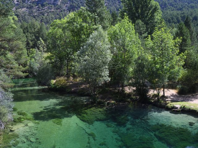 EXPERIENCIA EL RÍO QUE NOS LLEVA Y CENA GOURMET
