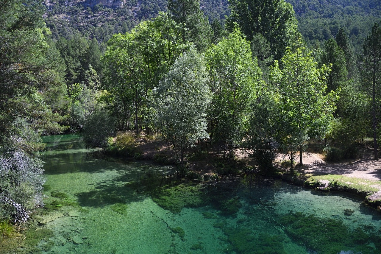 EXPERIENCIA EL RÍO QUE NOS LLEVA Y CENA GROUMET