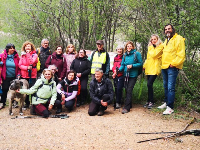 Muy buena participación en el Geolodía 2026 en el Alto Tajo