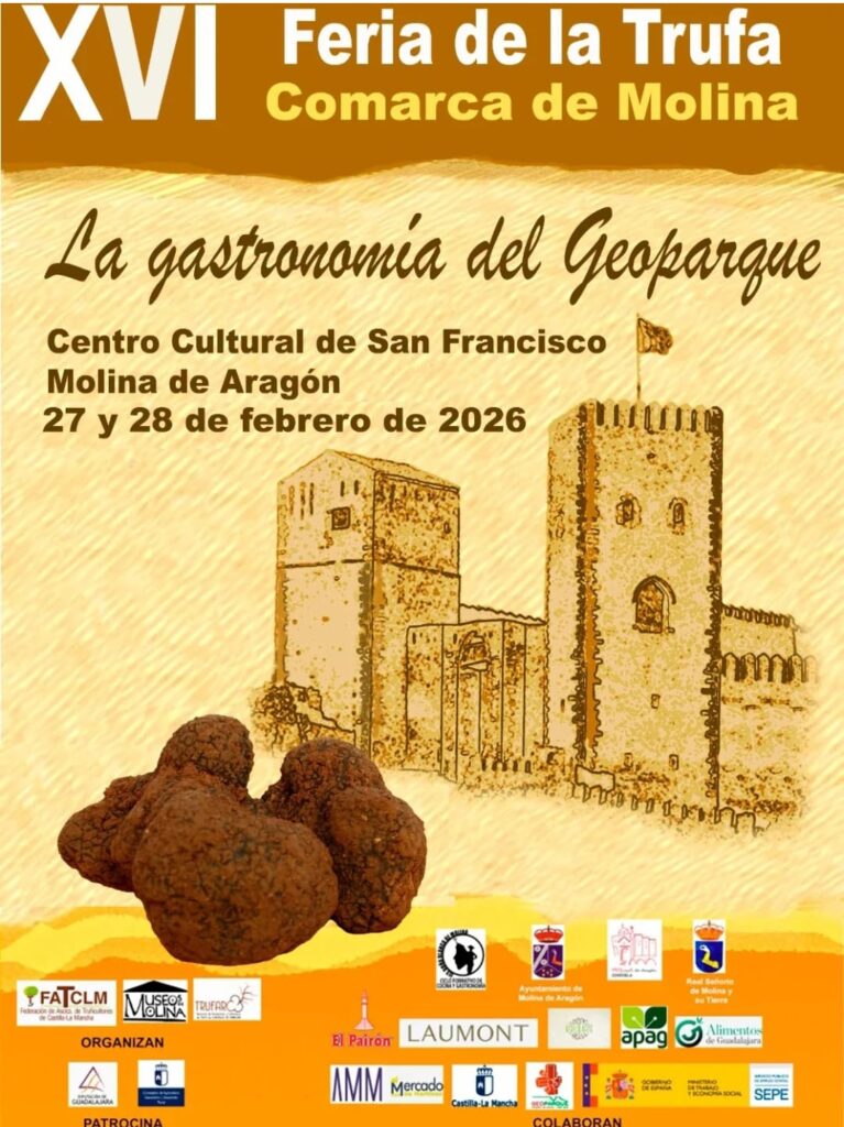 XVI Feria de la Trufa de la Comarca de Molina: Saborea el «oro negro» en nuestro Geoparque